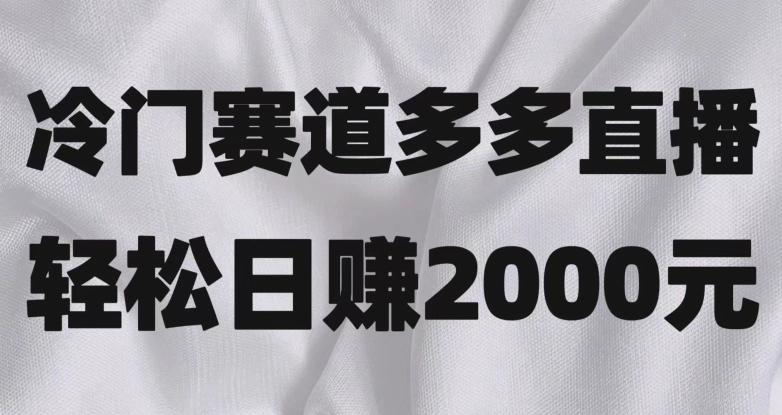 冷门赛道拼多多直播，简单念稿子，日收益2000＋【揭秘】-网创