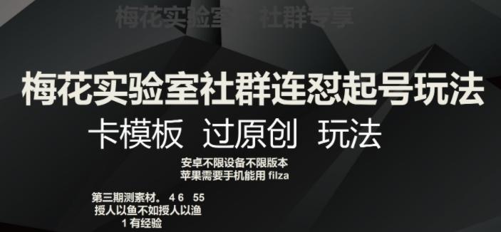 梅花实验室社群连怼起号玩法，卡模板过原创玩法【揭秘】-网创