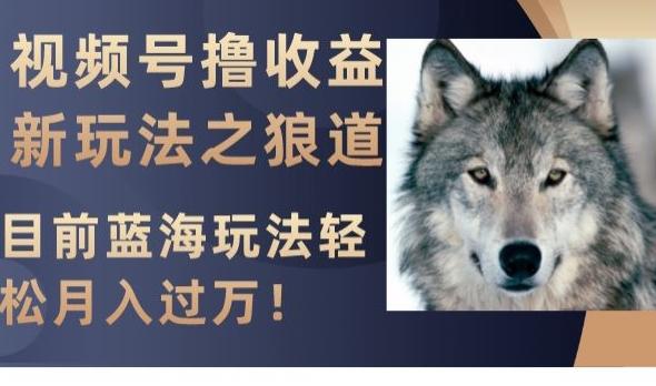 视频号撸收益新玩法之狼道，目前蓝海玩法，轻松月入过万【揭秘】-网创