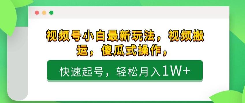 视频号小白最新玩法，视频搬运，傻瓜式操作，快速起号，轻松月入1W+-网创