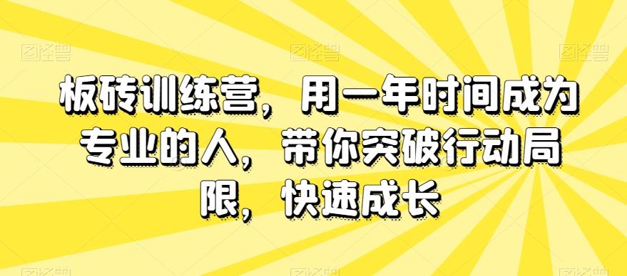 板砖训练营，用一年时间成为专业的人，带你突破行动局限，快速成长-网创