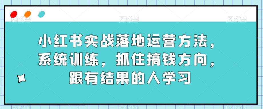 小红书实战落地运营方法，系统训练，抓住搞钱方向，跟有结果的人学习-网创
