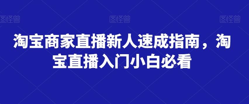 淘宝商家直播新人速成指南，淘宝直播入门小白必看-网创