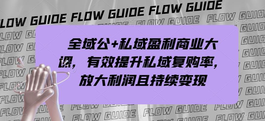 全域公+私域盈利商业大课，有效提升私域复购率，放大利润且持续变现-网创