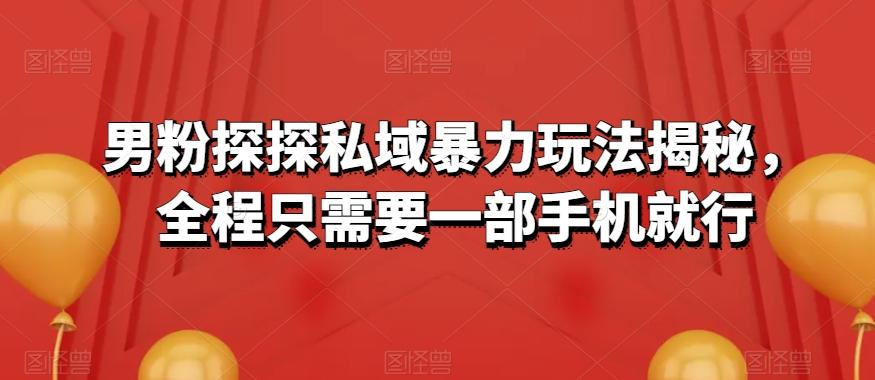 男粉探探私域暴力玩法揭秘，全程只需要一部手机就行-网创