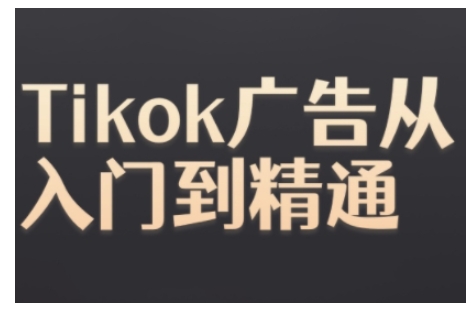 Tiktok Ads实操教程，Tiktok广告从入门到精通-网创