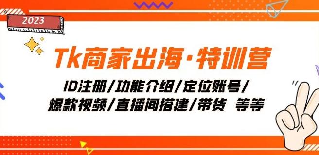 Tk商家出海·特训营：ID注册/功能介绍/定位账号/爆款视频/直播间搭建/带货-网创