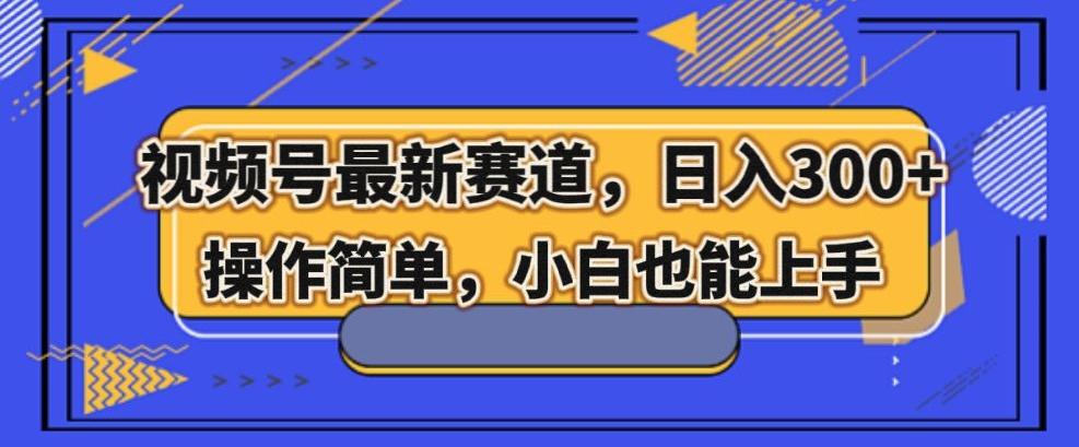 视频号最新赛道，日入300+，新手小白轻松掌握-网创