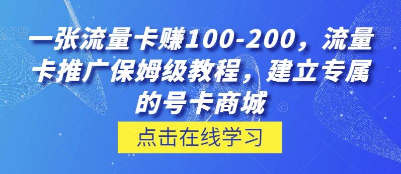 一张流量卡赚100-200，流量卡推广保姆级教程，建立专属的号卡商城-网创
