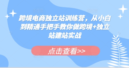 跨境电商独立站训练营，从小白到精通手把手教你做跨境+独立站建站实战-网创