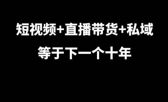 短视频+直播带货+私域等于下一个十年，大佬7年实战经验总结-网创