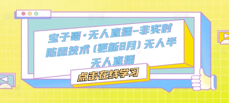 宝子哥·无人直播-非实时防风技术(更新11月)无人半无人直播-网创