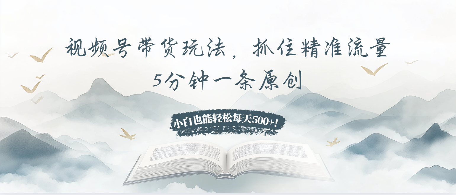 视频号带货玩法，抓住精准流量，5分钟一条原创，小白也能轻松每天500+！-网创