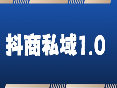 抖商服务私域1.0，抖音引流获客详细教学-网创