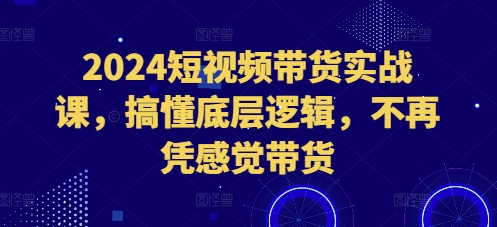 2024短视频带货实战课，搞懂底层逻辑，不再凭感觉带货-网创