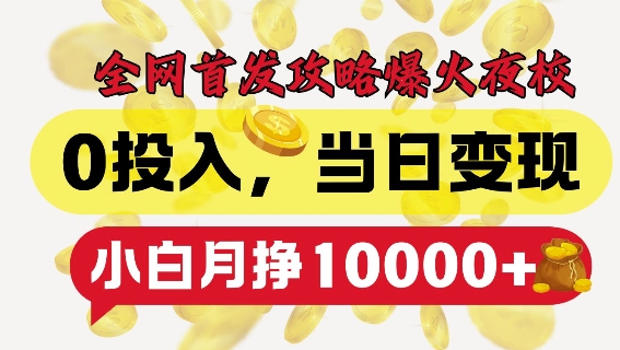 全网首发爆火夜校，0投入，当日变现，小白轻松月入1w+【揭秘】-网创