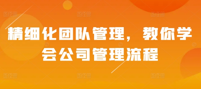 精细化团队管理，教你学会公司管理流程-网创