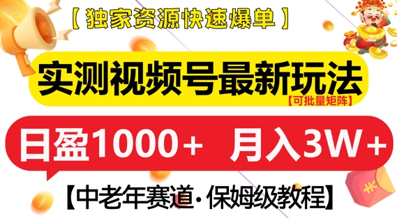 实测视频号最新玩法，中老年赛道，独家资源，月入过W+【揭秘】-网创
