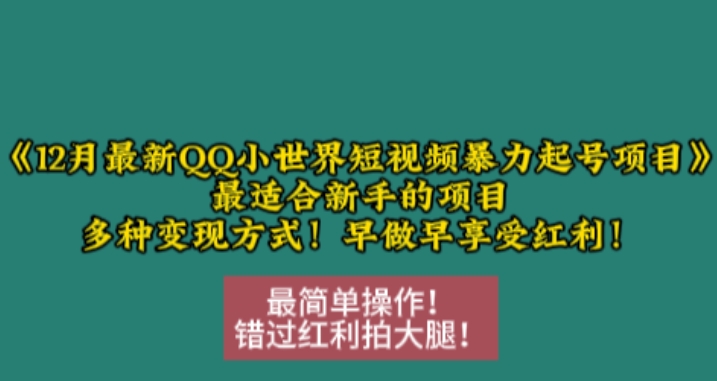 12月最新QQ小世界短视频暴力起号项目，最适合新手的项目，多种变现方式-网创