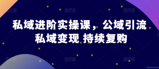 私域进阶实操课，公域引流 私域变现 持续复购-网创