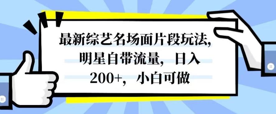 最新综艺名场面片段玩法，明星自带流量，日入200+，小白可做【揭秘】-网创