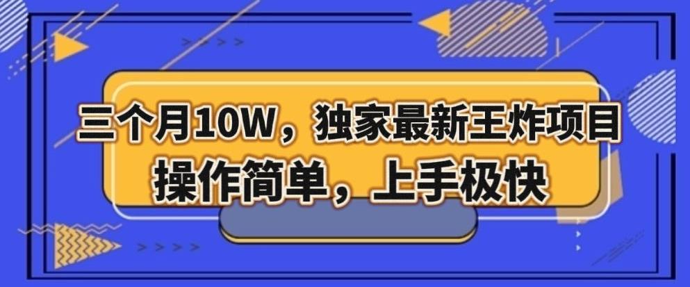 三个月10W，独家最新王炸项目！操作简单，上手极快【揭秘】-网创