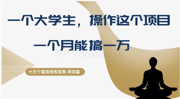 十万个富翁修炼宝典之4.一个大学生操作这个项目，一个月能搞一万-网创