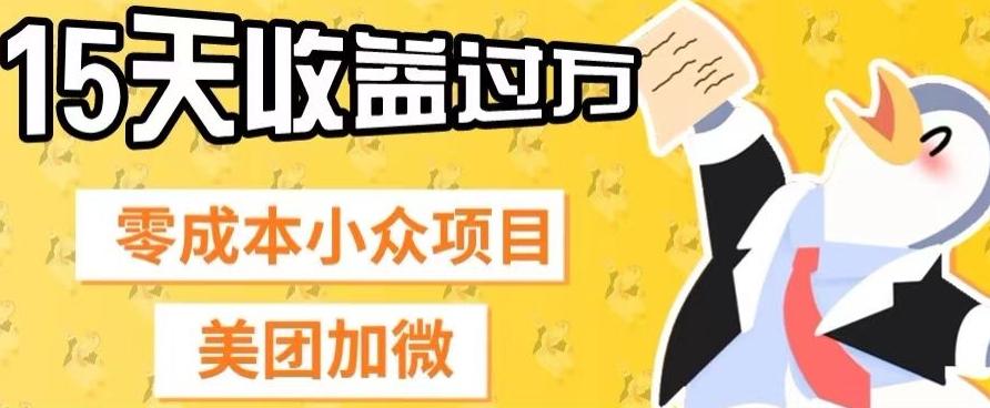 零成本小众项目，美团加微，一单4.5+，15天已经有人赚上万收益-网创