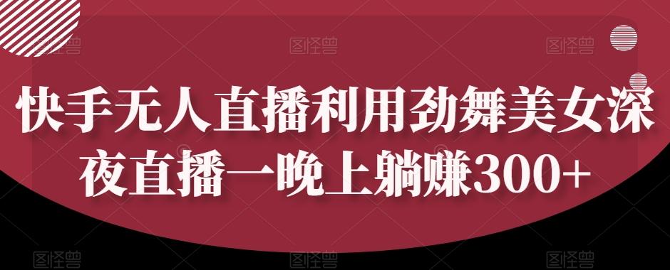 快手无人直播利用劲舞美女深夜直播一晚上躺赚300+-网创