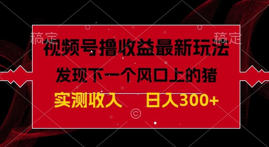 视频号分成计划最新玩法，单条作品几分钟制作完成,日入300+，过年前最后的冲刺-网创