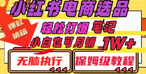 小红书电商爆款选品秘籍，帮你轻松打爆笔记，小白也可轻松月销10000+-网创