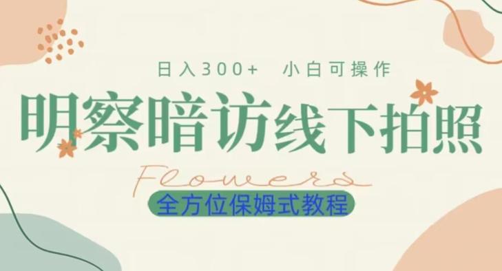 明拍暗拍项目0成本投入日入300+小白可操作保姆式全方位教程-网创