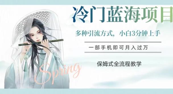 冷门蓝海项目，操作简单，小白3分钟上手，多种引流方式，保姆式全流程教学【揭秘】-网创