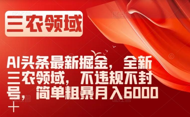 AI头条最新掘金，全新三农领域，不违规不封号，简单粗暴月入6000＋【揭秘】-网创