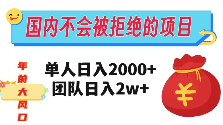 在国内不怕被拒绝的项目，单人日入2000，团队日入20000+【揭秘】-网创