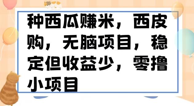 种西瓜赚米，西皮购稳定长久零撸小项目-网创