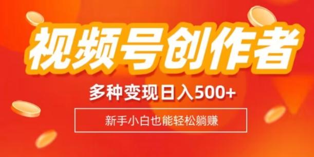 视频号创作者计划，多种变现方式，日入500+【内附1080g视频素材】-网创