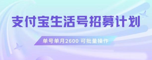 支付宝生活号作者招募计划，单号单月2600，可批量去做，工作室一人一个月轻松1w+【揭秘】-网创