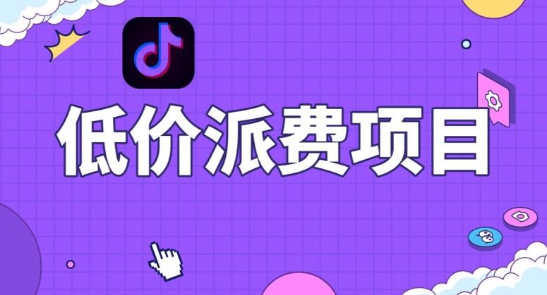 抖音低价派单项目，0门槛，日入1000+很轻松，小白可操作【揭秘】-网创