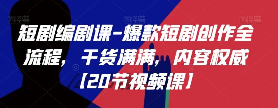 短剧编剧课-爆款短剧创作全流程，干货满满，内容权威【20节视频课】-网创