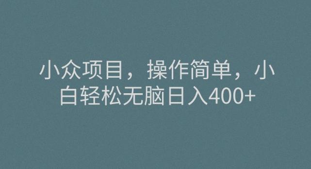 小众项目，操作简单，小白轻松无脑日入400+-网创