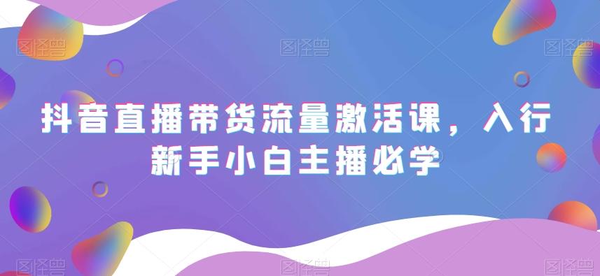 抖音直播带货流量激活课，入行新手小白主播必学-网创