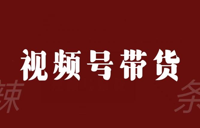 视频号带货联盟，赚信息差的带货钱，只需手机随时随地都可以做！-网创