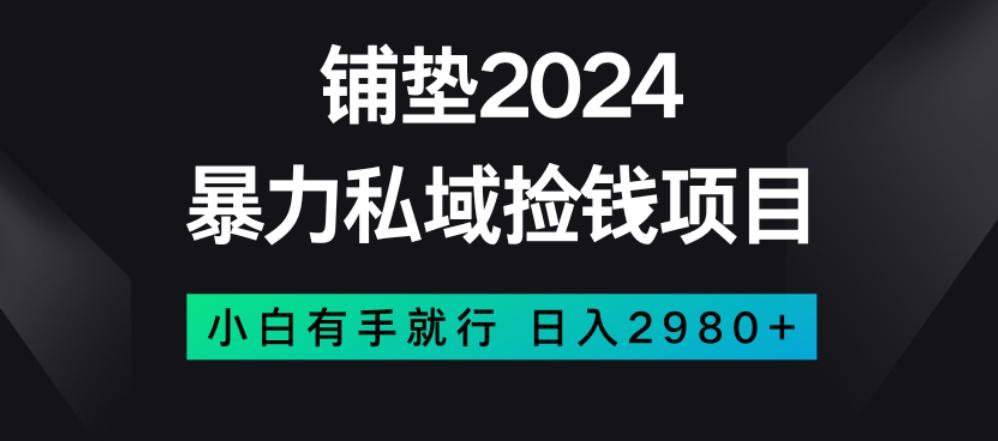 暴力私域捡钱项目，小白无脑操作，日入2980【揭秘】-网创