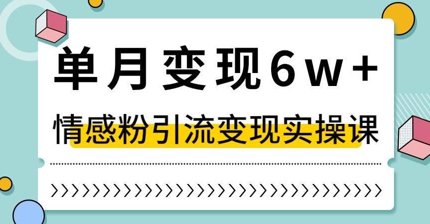 单月变现6W+，抖音情感粉引流变现实操课，小白可做，轻松上手，独家赛道【揭秘】-网创