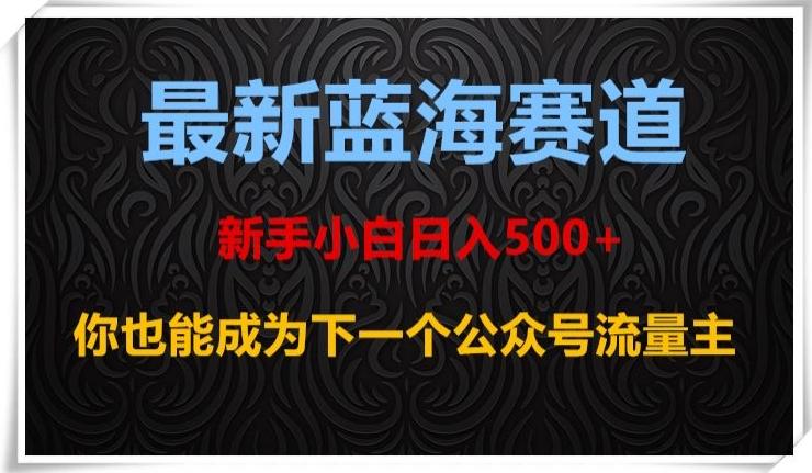 最新蓝海赛道，新手小白日入500+，你也能成为下一个公众号流量主【揭秘】-网创