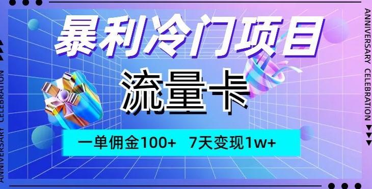 暴利冷门项目，流量卡，一单佣金100+，7天变现1w+-网创