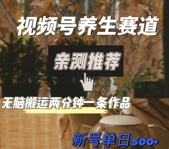 视频号养生赛道暴力掘金，无脑搬运，两分钟一条作品-新日单入500+-网创