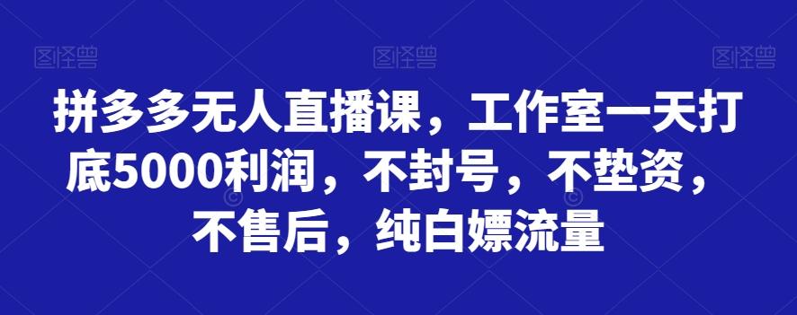 拼多多无人直播课，工作室一天打底5000利润，不封号，不垫资，不售后，纯白嫖流量-网创