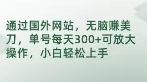通过国外网站，无脑赚美刀，单号每天300+可放大操作，小白轻松上手【揭秘】-网创
